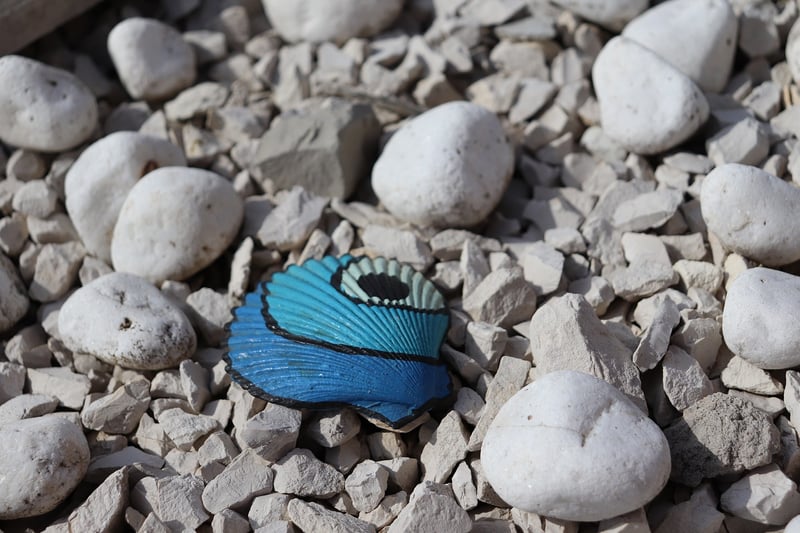 Nature-Inspired Crafts
