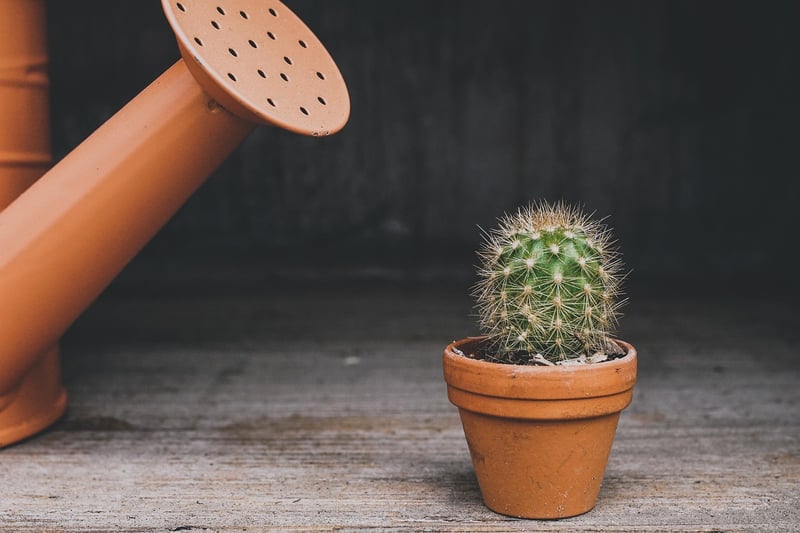 Upcycled Jar Planters